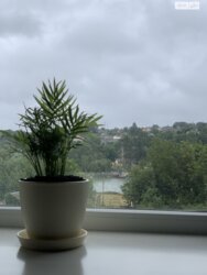 ������ 1�, ���. ����� ����������� ���� 16