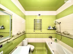 ��������� �������� ³�������, ³�����, �����������, ��� �����������, 8� ���� 17