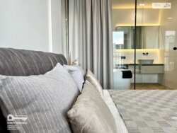 ��������� �������� ³�������, ³�����, ����������, ���. �����������, 29 ���� 1