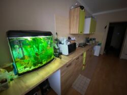 2-кімнатна, вул. Милославська 45, Деснянський фото 16 2-кімнатна, вул. Милославська 45, Деснянський фото 16