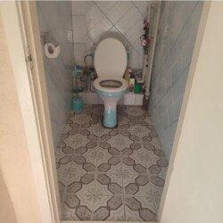 ��������� �������� �� ������� �������� ��������,19� ���� 12