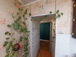 ������ 2-�������, ������� ��������� 22, ������������ ���� 13