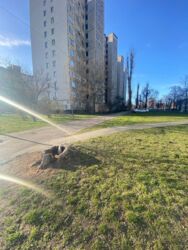 2-кімнатна квартира, Кіото вул., 9 метро Лісова, Чернігівська фото 12 2-кімнатна квартира, Кіото вул., 9 метро Лісова, Чернігівська фото 12