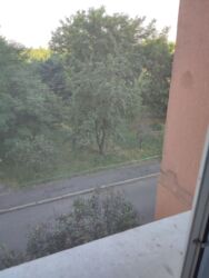 2-кімнатна, Каштанова 15-А, Деснянський фото 17 2-кімнатна, Каштанова 15-А, Деснянський фото 17