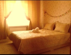 в продажі 2к.кв. рн Курортного ринку фото 10 в продажі 2к.кв. рн Курортного ринку фото 10