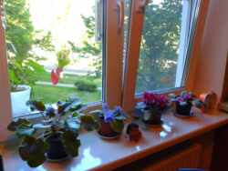 в продажі 2к.кв. рн Курортного ринку фото 4 в продажі 2к.кв. рн Курортного ринку фото 4