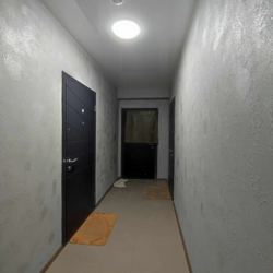  2 .    ,   7
