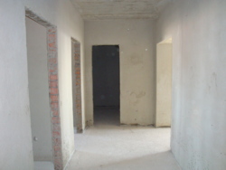 2.   ,    11