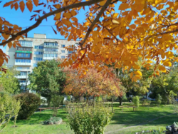 � ������ 4� �� ��� ���� ���� 11