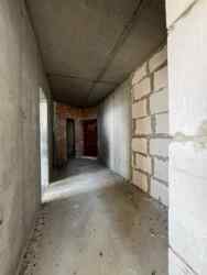 ����������� ��������, ������ ���������� � �����. ���� 17