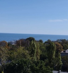 ��������� �������� �������� ����., �.�����������, �������� �����, ������� ������� ���� 3