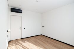 ��������� �������� ���, ����������, ���������� ���� 19