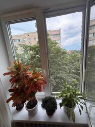 ��������� �������� ������������ ������, 4, ���, �����������, ������������� ���� 11