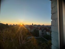 ��������� �������� ����������� ������, 16, ���, �����'�������, �. ��������� ���� 15