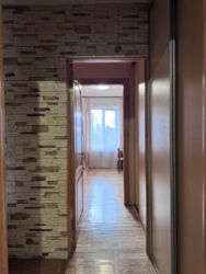 ��������� �������� �����, ���, ������������, �. ����������� ���� 11