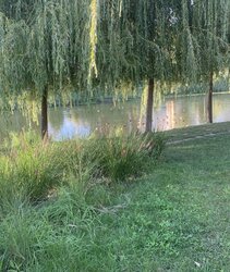 ��������� �������� ������ �������� �������� (�����. �������� �������), 8�, ���, ������������, ���������, �. ������� ���� 2