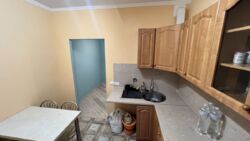 ��������� �������� ��������� ������, 5, ���, �����������, �������, �. ������� ���� 15