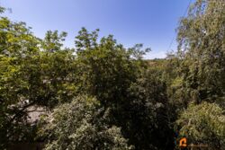 ��������� �������� �������� ������� ������, 15-�, ���, ������������� ���� 18