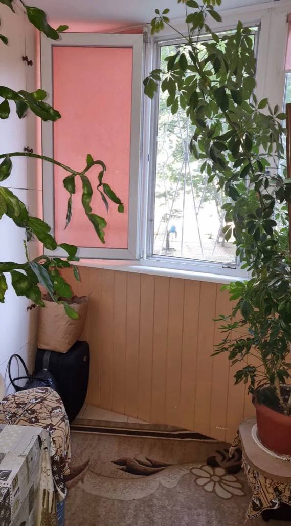 в продаже 2х ком квартира в спец. проекте фото 1 в продаже 2х ком квартира в спец. проекте фото 1