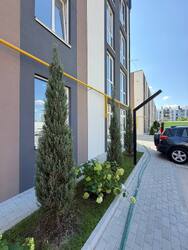 �������� 32 �.�� �� ������ � ����� � �� Sanville Park, �������������� ���� 2