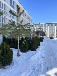 Продаж 1к квартири з документами газ Святопетрівське фото 3 Продаж 1к квартири з документами газ Святопетрівське фото 3