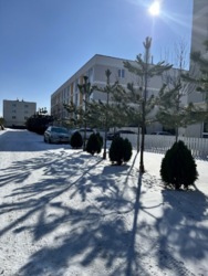 Продаж 1к квартири з документами газ Святопетрівське фото 1 Продаж 1к квартири з документами газ Святопетрівське фото 1