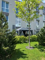 ��������-����� 26 �.�� � ������ �������� | �� Sanville Park | ϳ� ������ ���� 6