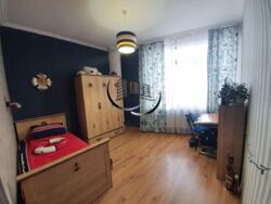 ������ ����������� 3� ������� ��������, ����� ���� 5