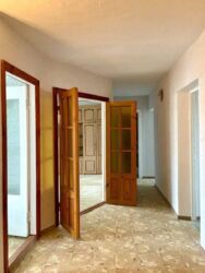 ������� ���������������� ������������ �������� � ��������� ����� ���� 12