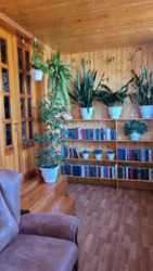 ��������� �������� ���������� ����, 4, �������, ����������� ���� 7