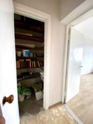 ������� ���������������� ������������ �������� � ��������� ����� ���� 17