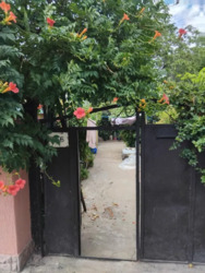 ��������� �������� ����������, 256, �������, �����������, ����������� ���� 20