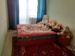 ��������� �������� �������, �����������, ����������� ���� 1