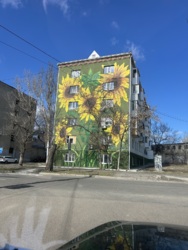 ��������� �������� �����������, 36, �������, ����������� ���� 1