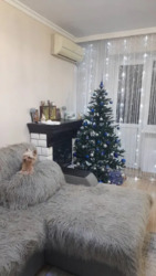 ��������� �������� ������ ������� 34, �������, ����������� ���� 1