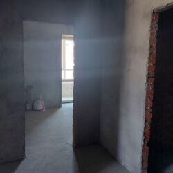 ��������� �������� �����������, 172, �������, �����������, ����������� ���� 7