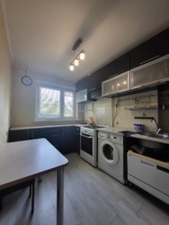 ��������� �������� �������� ����, 19, �������, �����������, ����������� ���� 9