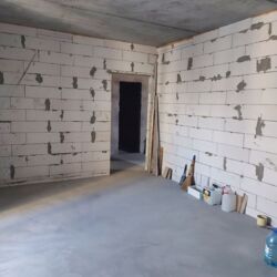 ��������� �������� �����������, 172, �������, �����������, ����������� ���� 6