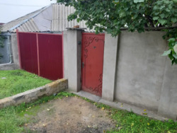 ��������� �������� �������, 135, �������, ����������� ���� 8