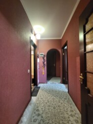 ��������� �������� ���������� �����, 38, �������, �����������, ����������� ���� 8