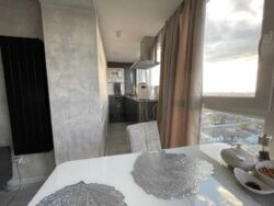 ��������� �������� �����������, 40, �������, �����������, ����������� ���� 2