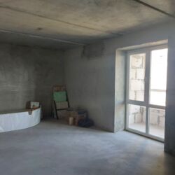 ��������� �������� �����������, 172, �������, �����������, ����������� ���� 1