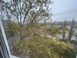 ��������� �������� �������������, 4, �������, �����������, ����������� ���� 11