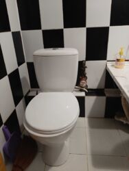 ��������� �������� �������, �����������, ����������� ���� 6