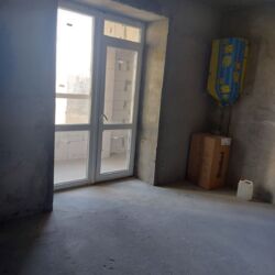 ��������� �������� �����������, 172, �������, �����������, ����������� ���� 8