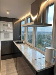 ��������� �������� �����������, 40, �������, �����������, ����������� ���� 3