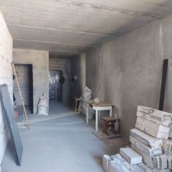 ��������� �������� �����������, 172, �������, �����������, ����������� ���� 3