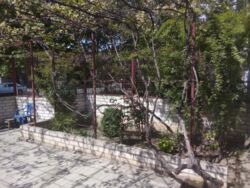 ��������� 2� ������ � ������� ������ ���� 2