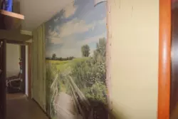  3  ,  . ,    22