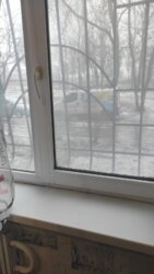 1 - ����. 38,5 �. ��. �����, �/� ������-3. ��������� �����, ��������. ���� 22